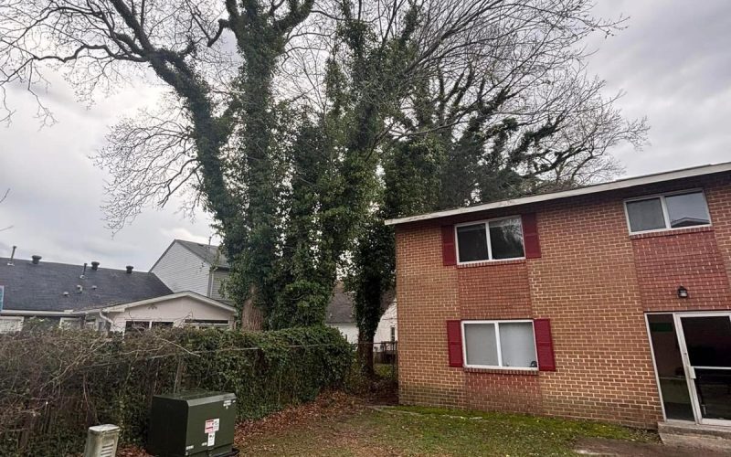 Beaver Tree Services LLC 28