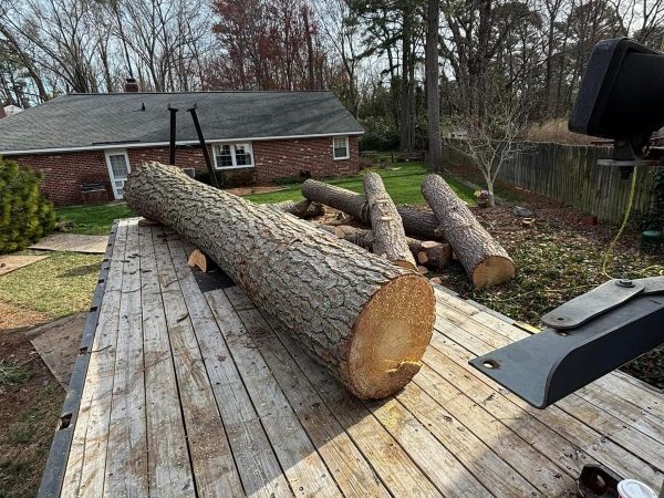 Beaver Tree Services LLC 35