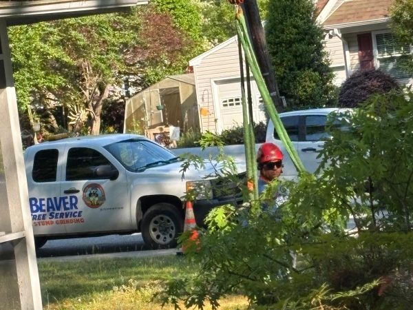 Beaver Tree Services LLC 46