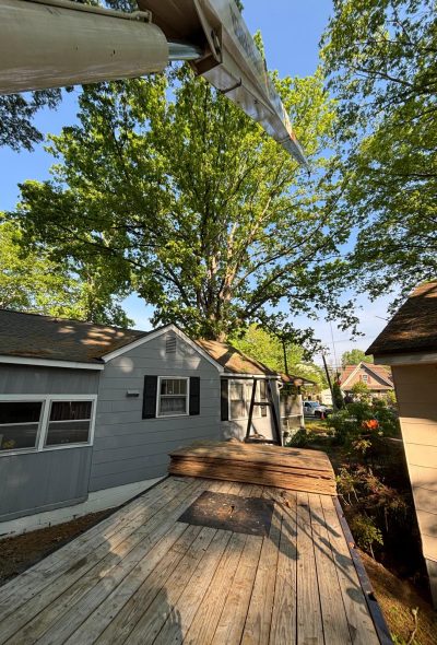 Beaver Tree Services LLC 49